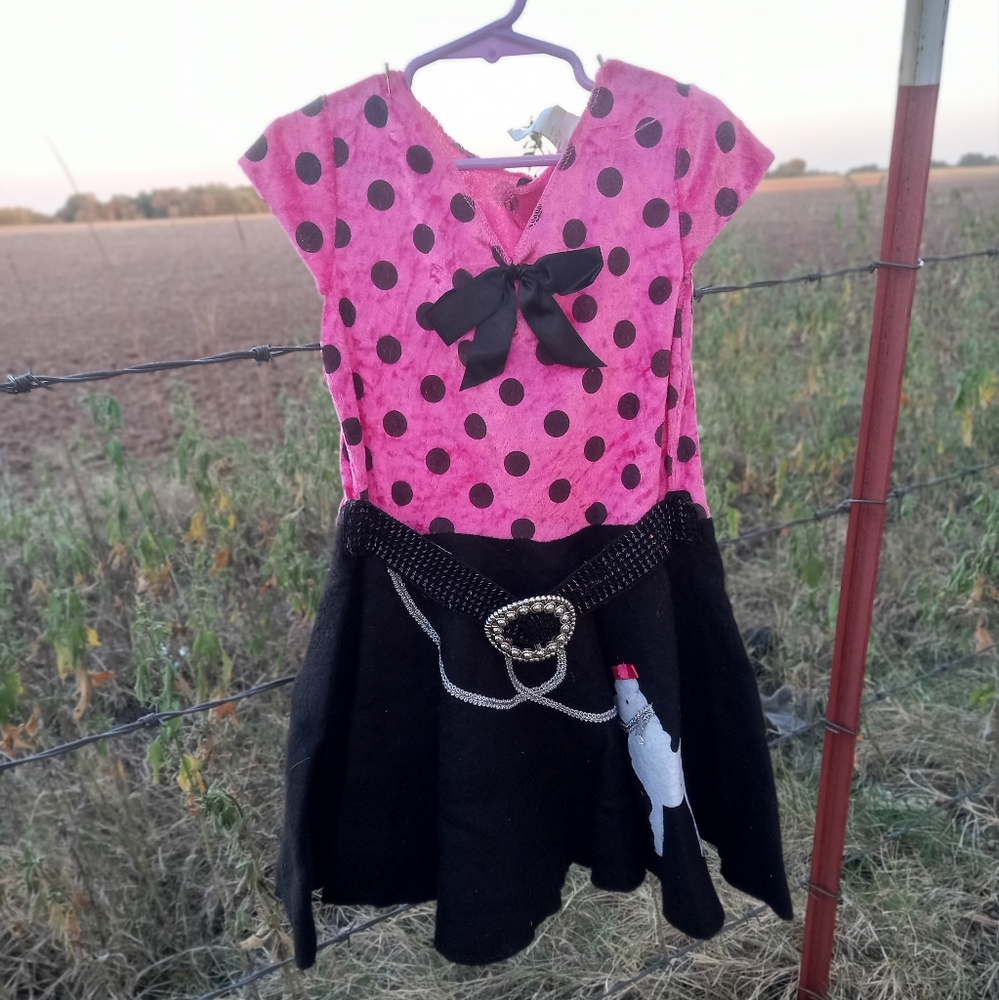 Used girls poodle skirt costume